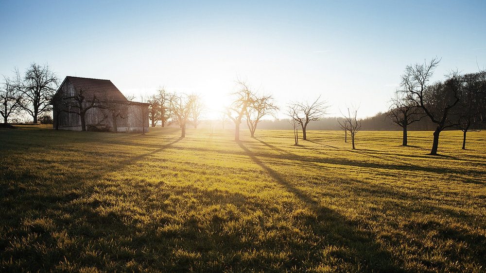 Are you getting your Vitamin D fix?